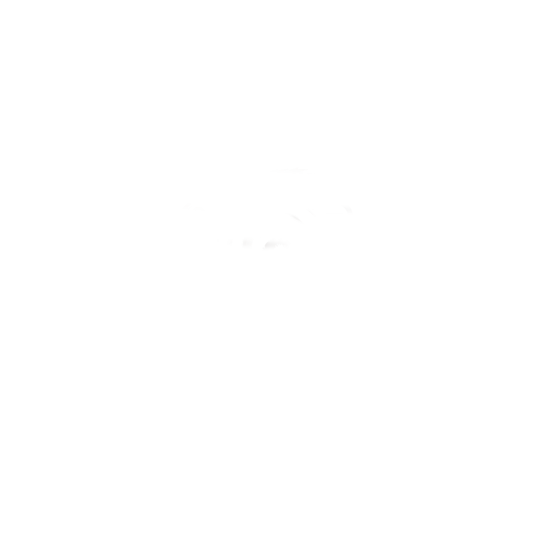 CaM Photography